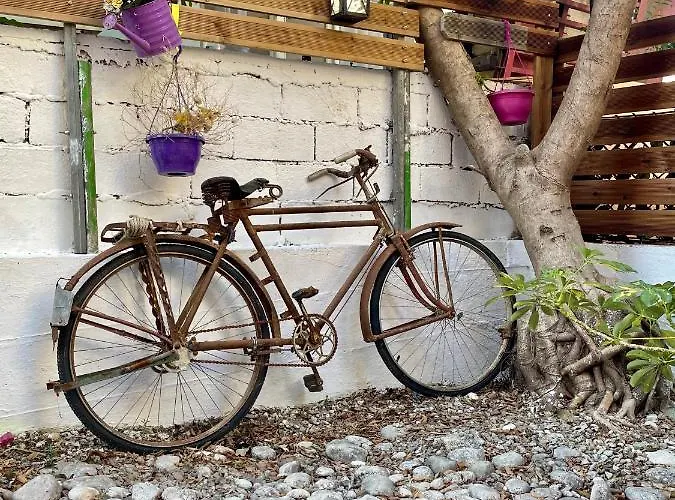 Maison d'hôtes Gardenia Nydri (Lefkada)